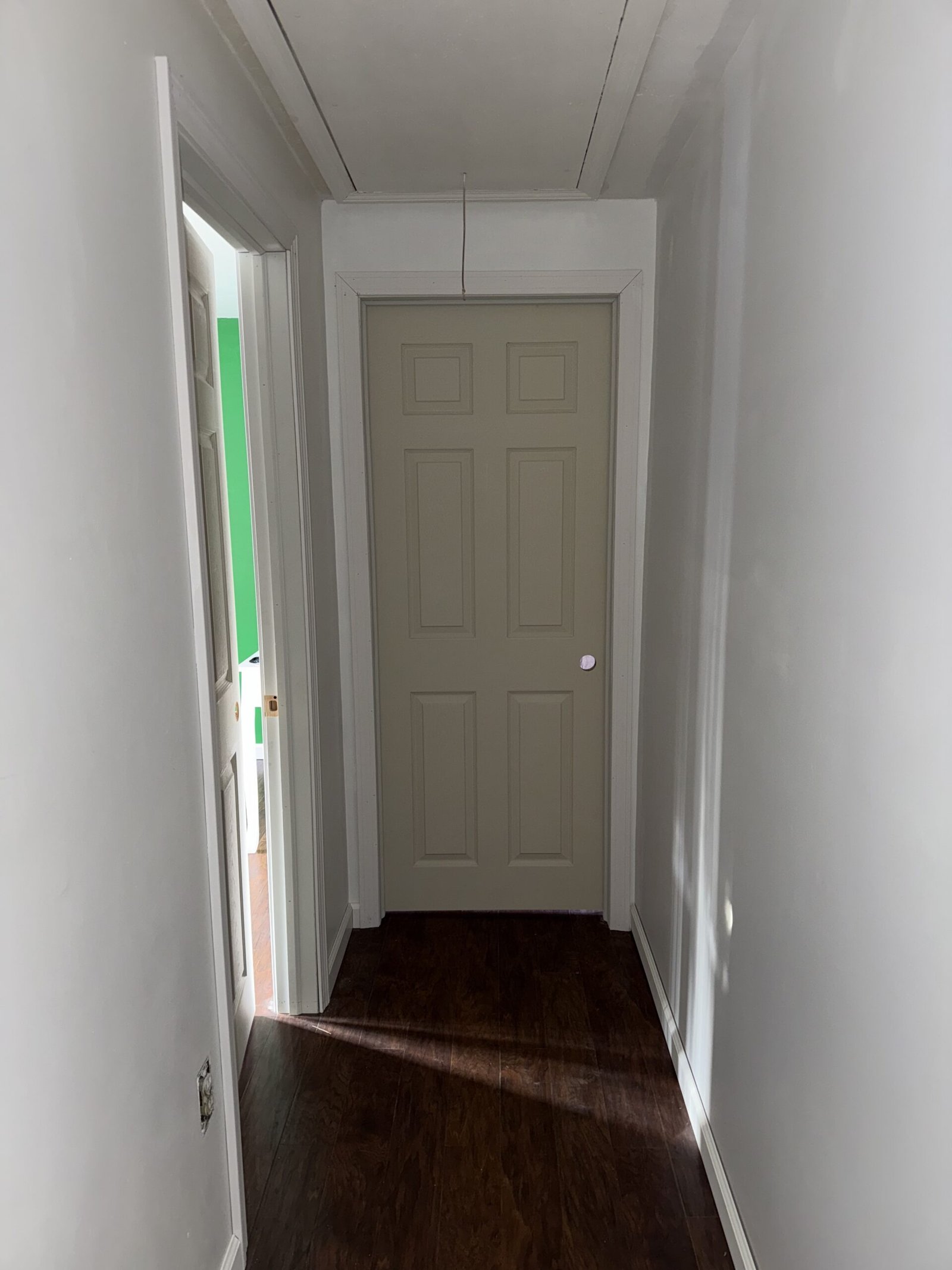 Finished new upstairs hallway with paneled door and dark wood flooring in Bridgewater Massachusetts