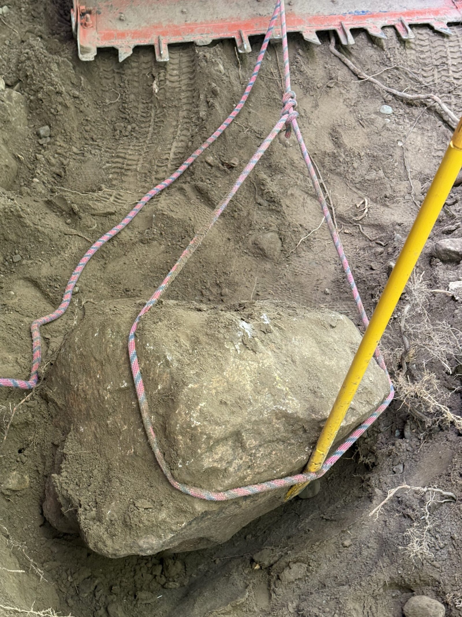 Large boulder exposed during patio excavation in Dover Massachusetts