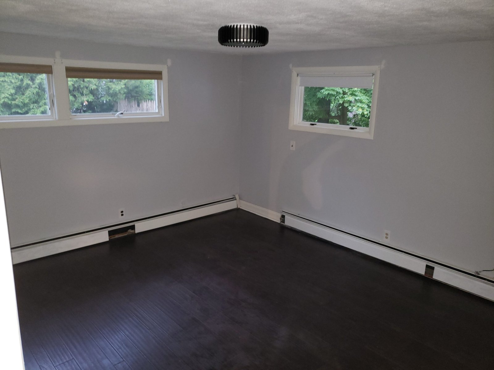 Finished lower room with high windows white walls and engineered hardwood in Saugus